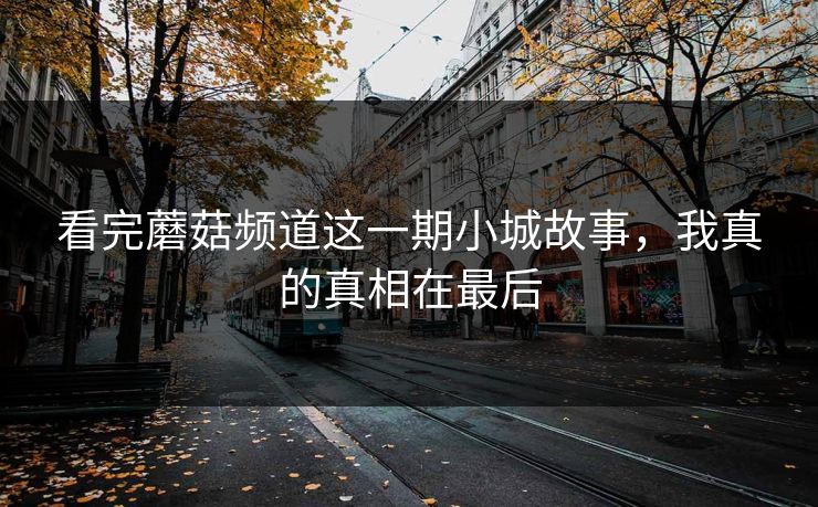 看完蘑菇频道这一期小城故事，我真的真相在最后