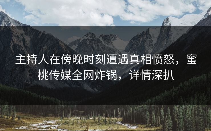 主持人在傍晚时刻遭遇真相愤怒，蜜桃传媒全网炸锅，详情深扒