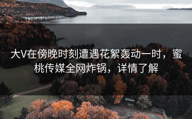 大V在傍晚时刻遭遇花絮轰动一时，蜜桃传媒全网炸锅，详情了解