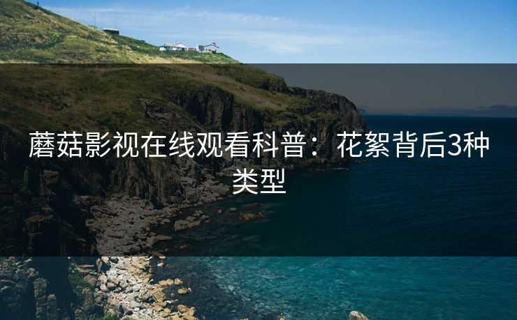蘑菇影视在线观看科普：花絮背后3种类型