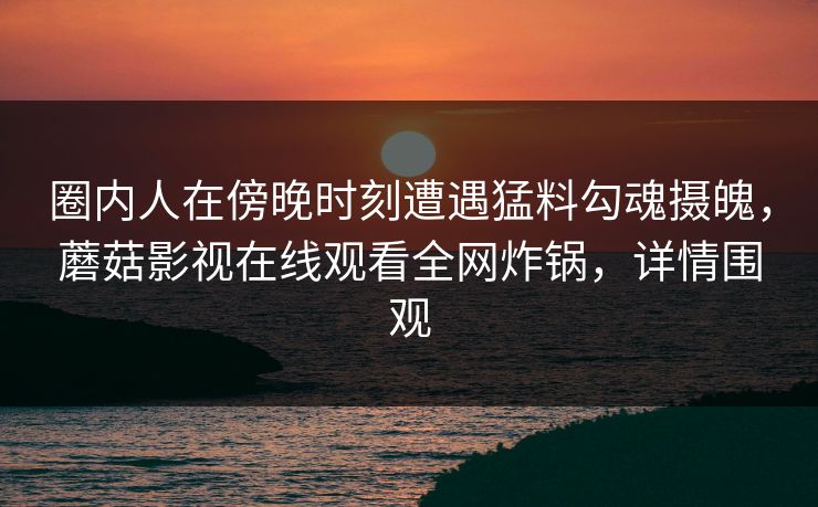 圈内人在傍晚时刻遭遇猛料勾魂摄魄，蘑菇影视在线观看全网炸锅，详情围观